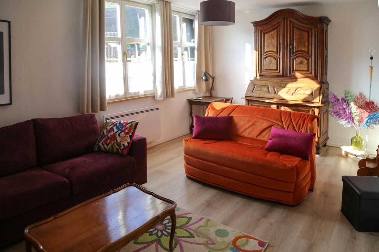 Appartement Le Bain Aux Plantes Strasbourg Ngoại thất bức ảnh